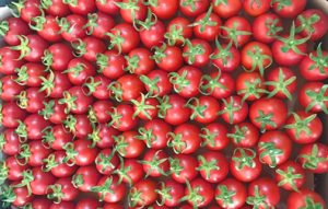 Turkish Tomato